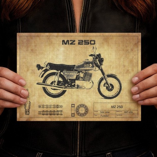 MZ 250