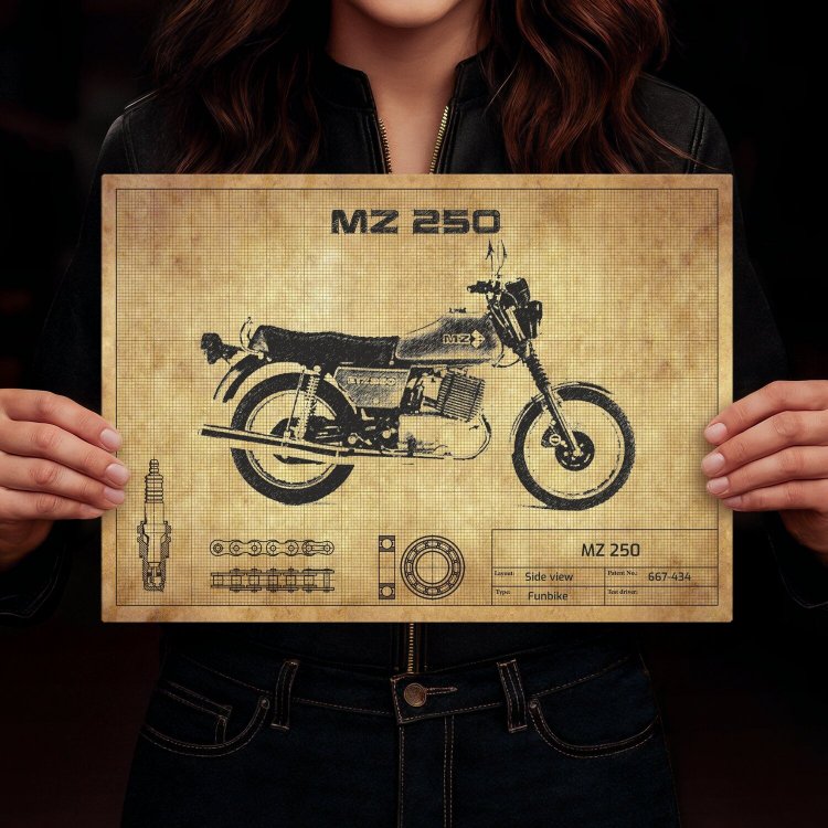 MZ 250