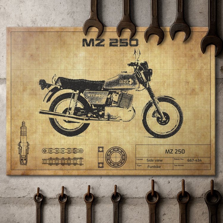 MZ 250