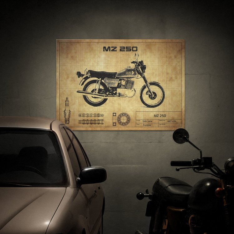 MZ 250