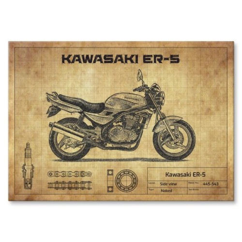 Kawasaki ER-5
