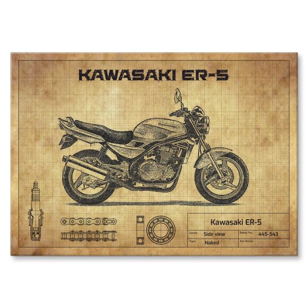 Kawasaki ER-5