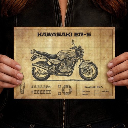 Kawasaki ER-5