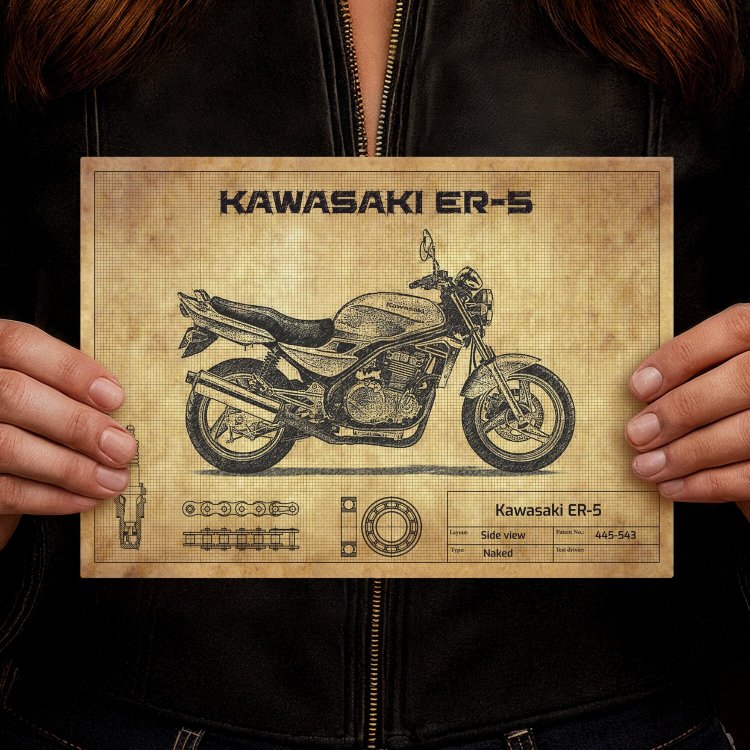 Kawasaki ER-5