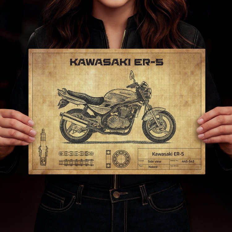 Kawasaki ER-5