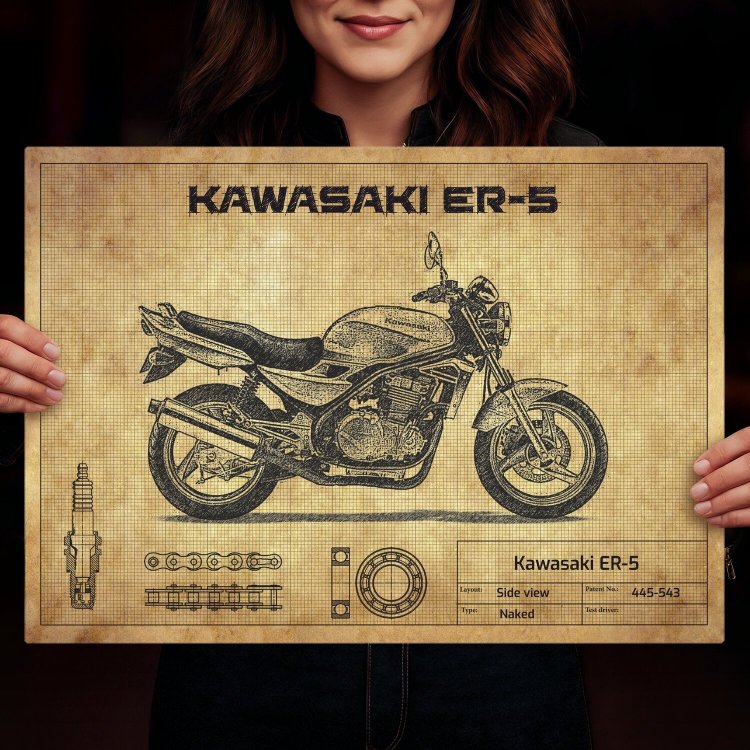 Kawasaki ER-5