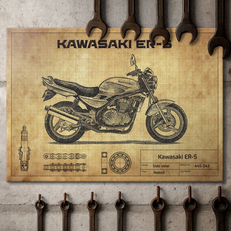 Kawasaki ER-5