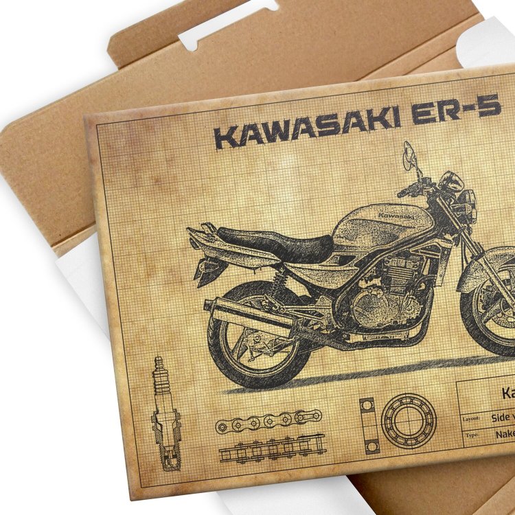 Kawasaki ER-5