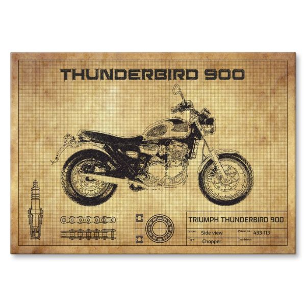 Thunderbird 900