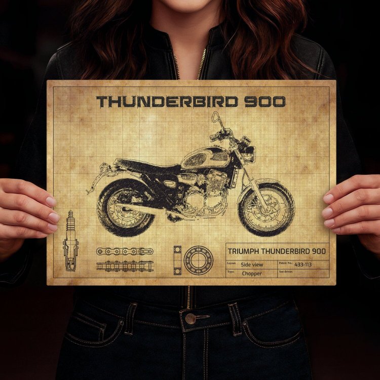 Thunderbird 900