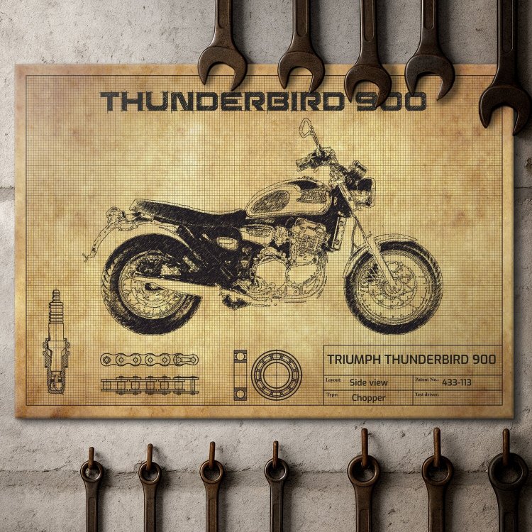 Thunderbird 900