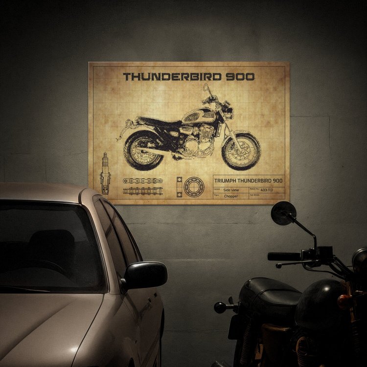 Thunderbird 900