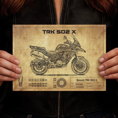 BENELLI TRK502X