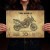 BENELLI TRK502X
