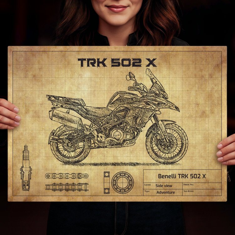 BENELLI TRK502X