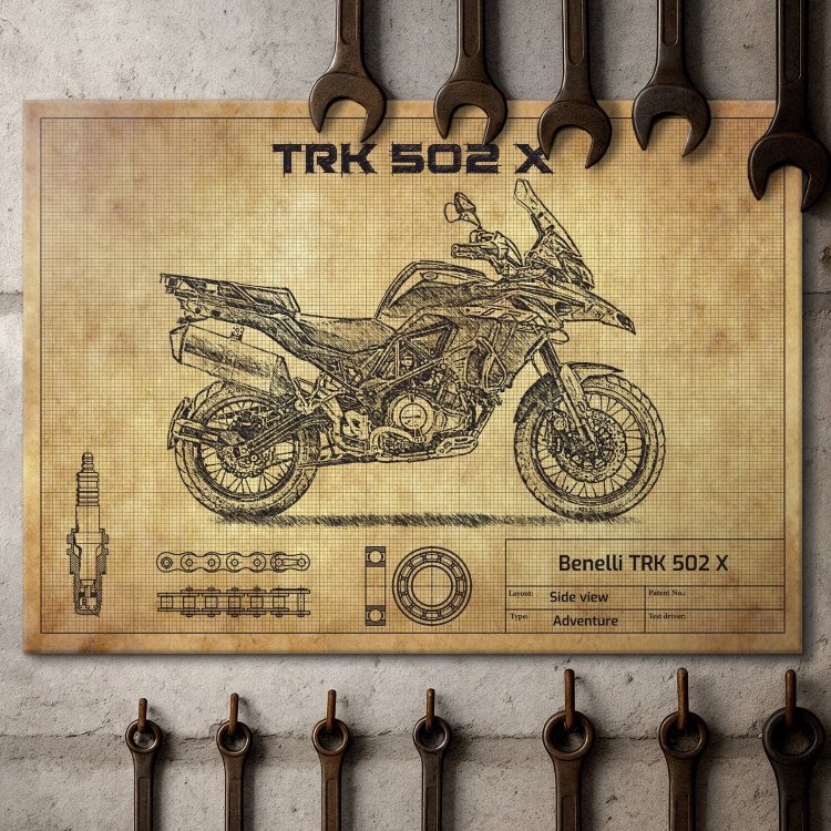 BENELLI TRK502X