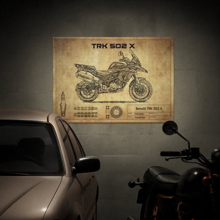 BENELLI TRK502X