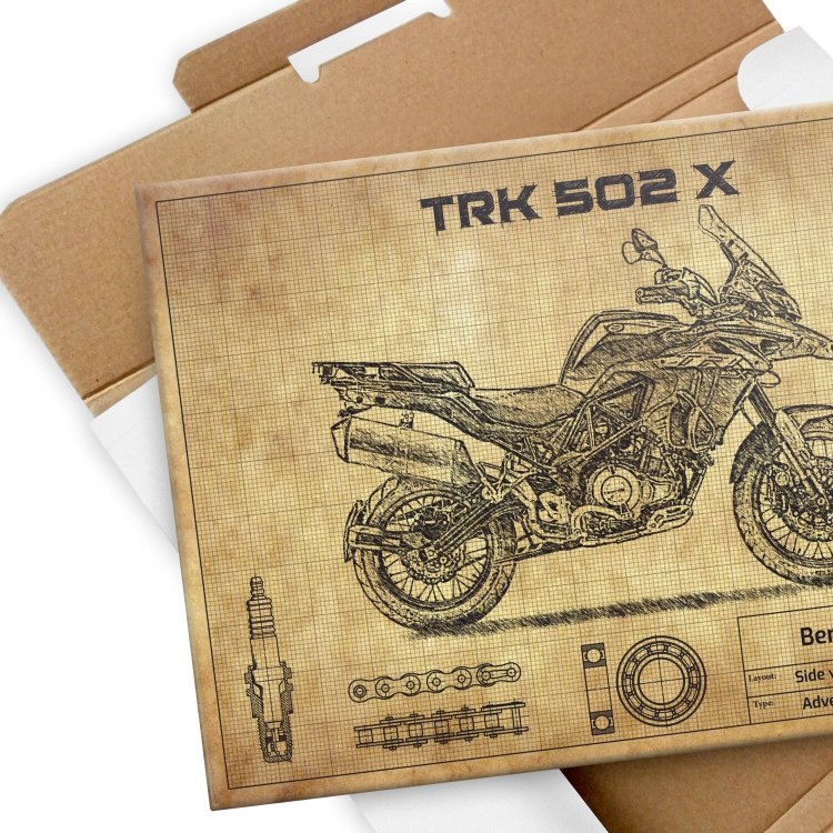 BENELLI TRK502X
