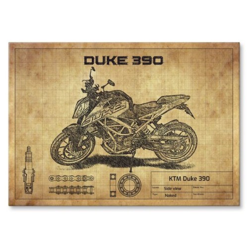 KTM Duke 390