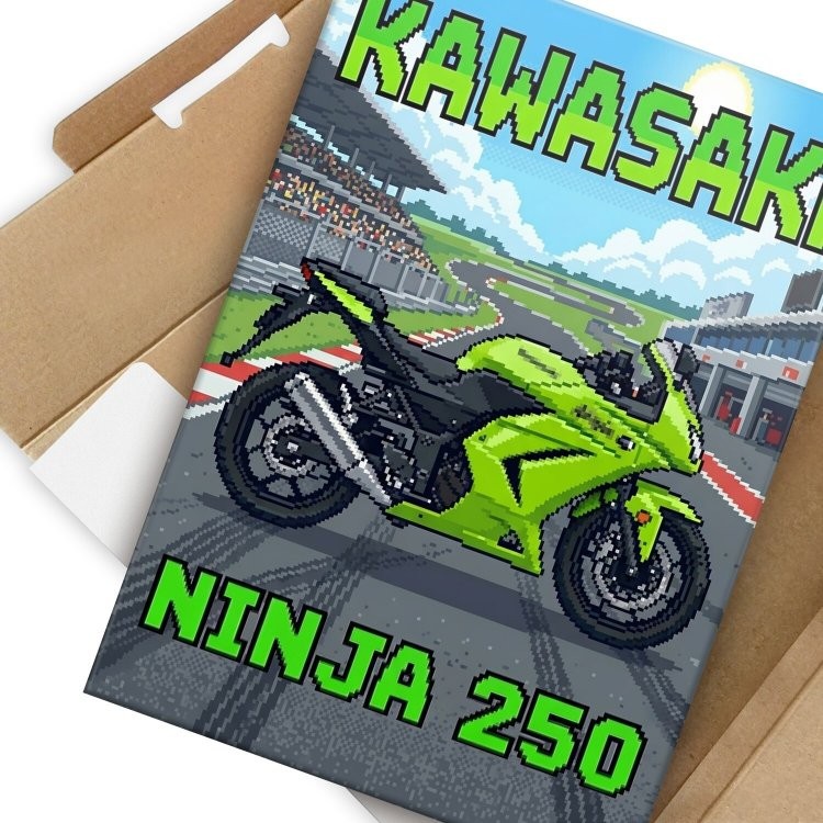 Kawasaki Ninja 250 Retro Pixel