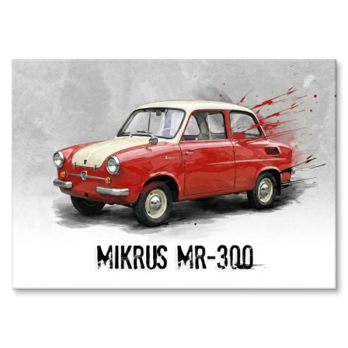 MIKRUS MR-300