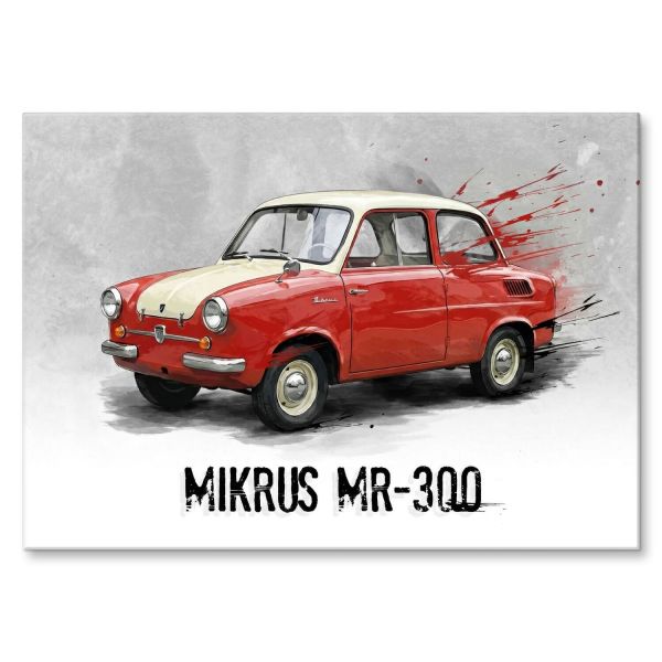 MIKRUS MR-300