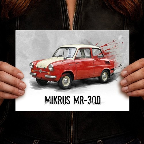 MIKRUS MR-300