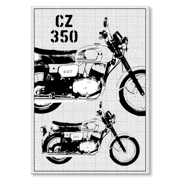 CZ350