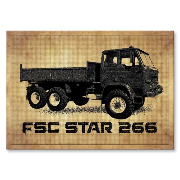 FSC  Star 266