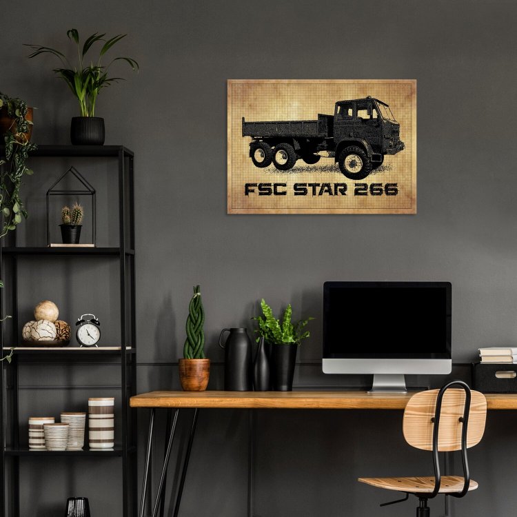FSC  Star 266