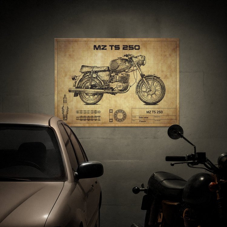 MZ TS 250